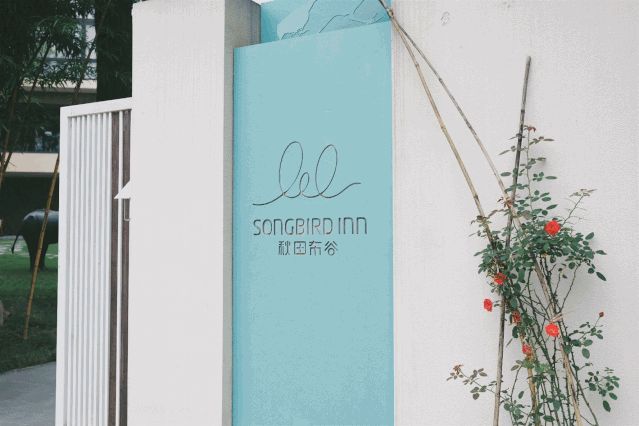 江浙沪附近避暑民宿,夏天莫干山性价比民宿推荐