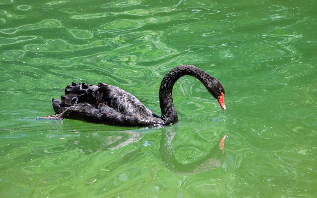 佳能eosr7有哪些镜头,佳能发布eosr7微单什么卡口