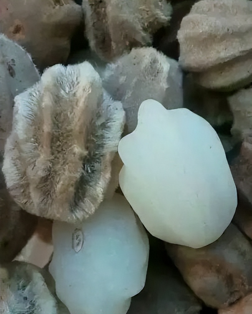 李子果核手串包浆玉化的效果,蛤蟆头核桃手串包浆玉化图片