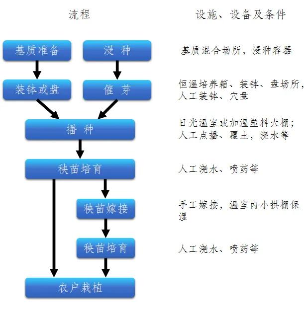 工厂化养殖基础知识,工厂化育苗的标准