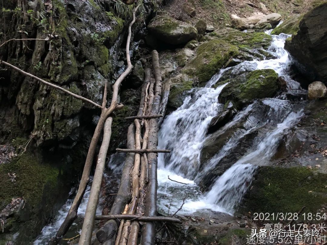 首阳山穿越大坪梁景色怎么样,大坪梁穿越到首阳山攻略