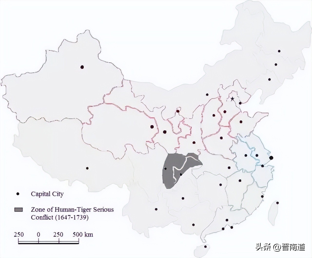 猛虎行│山西老虎的前世今生