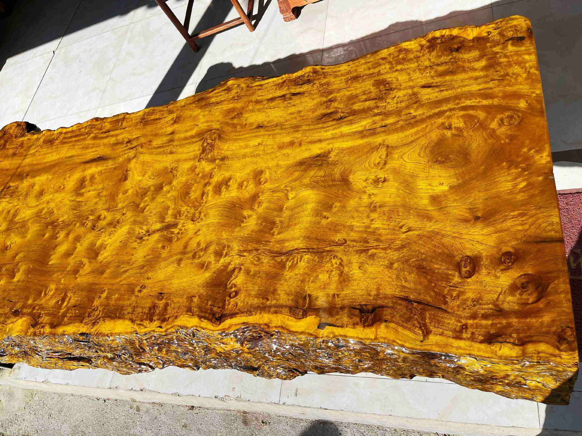 金丝楠木树苗为啥没人种,金丝楠木那么贵为何无人种