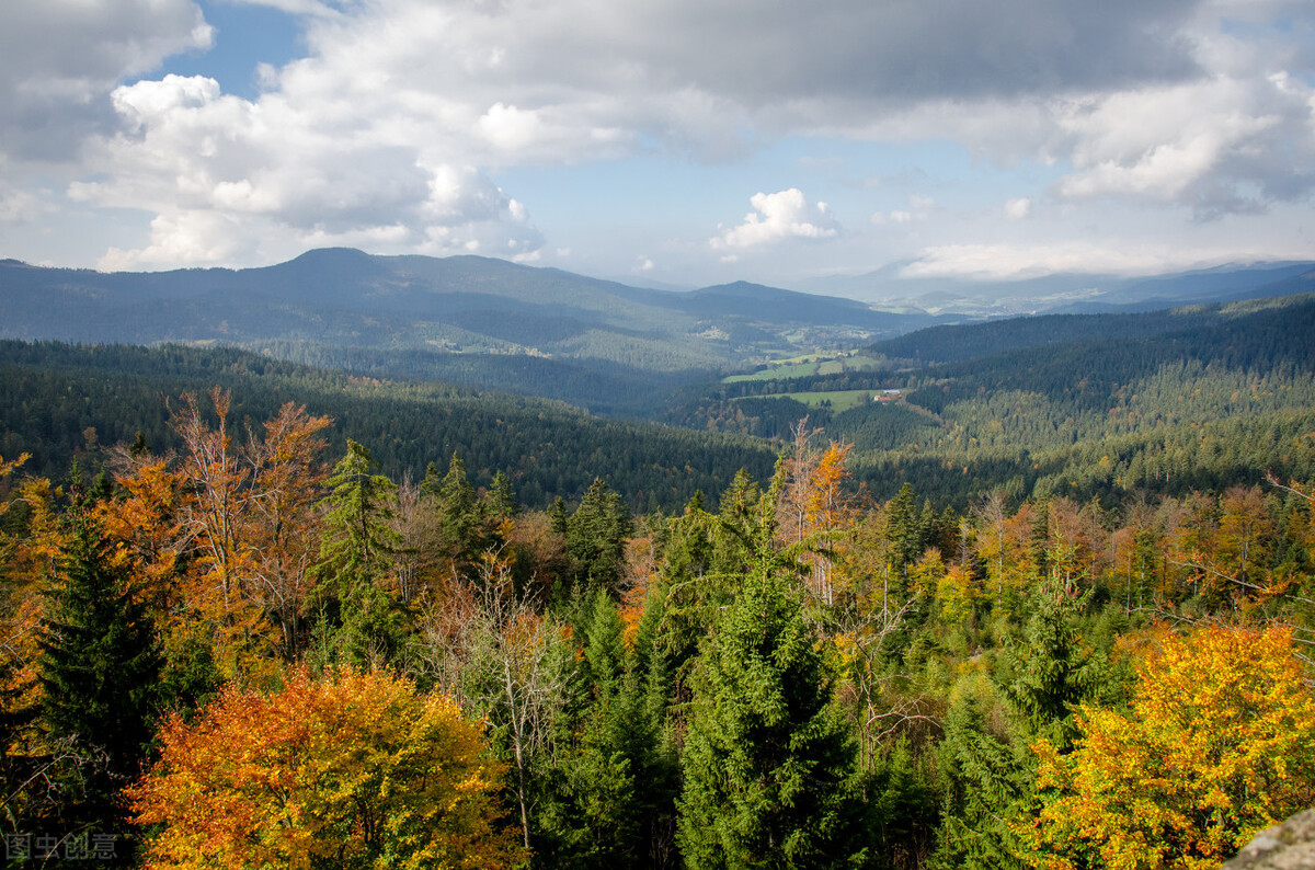 管理的本质是决策这句话出自哪里,管理背后的逻辑思路