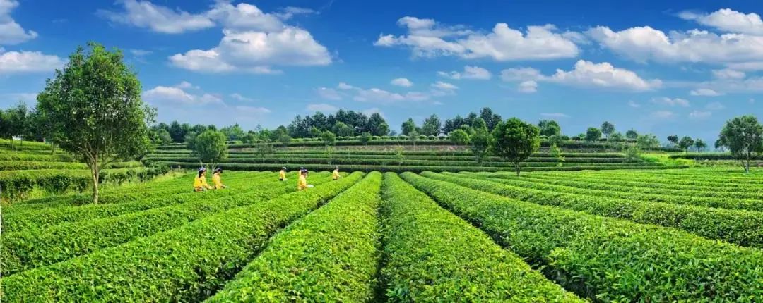 长沙县乡村游最佳去处,秋季长沙近郊自驾一日游