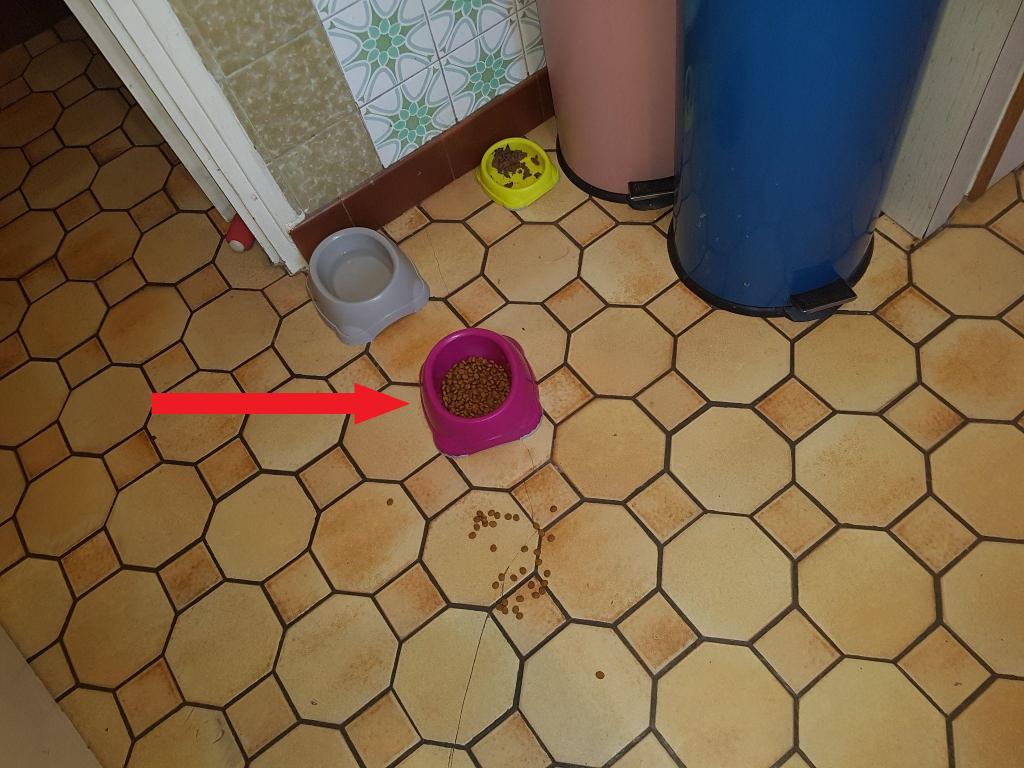 如何证明图灵完备,图灵完备条件判断