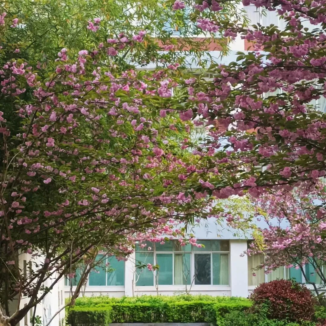 亳州学院安徽省,亳州学院是什么时候专升本的