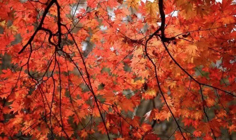 最新地图发布！速来围观！