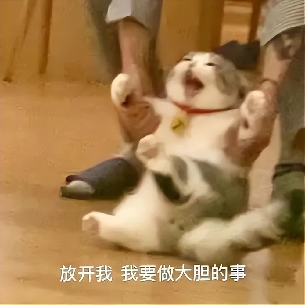 大学生公益捐赠,大学生有哪些有偿捐赠