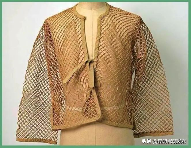 花博会云南,花博会来了