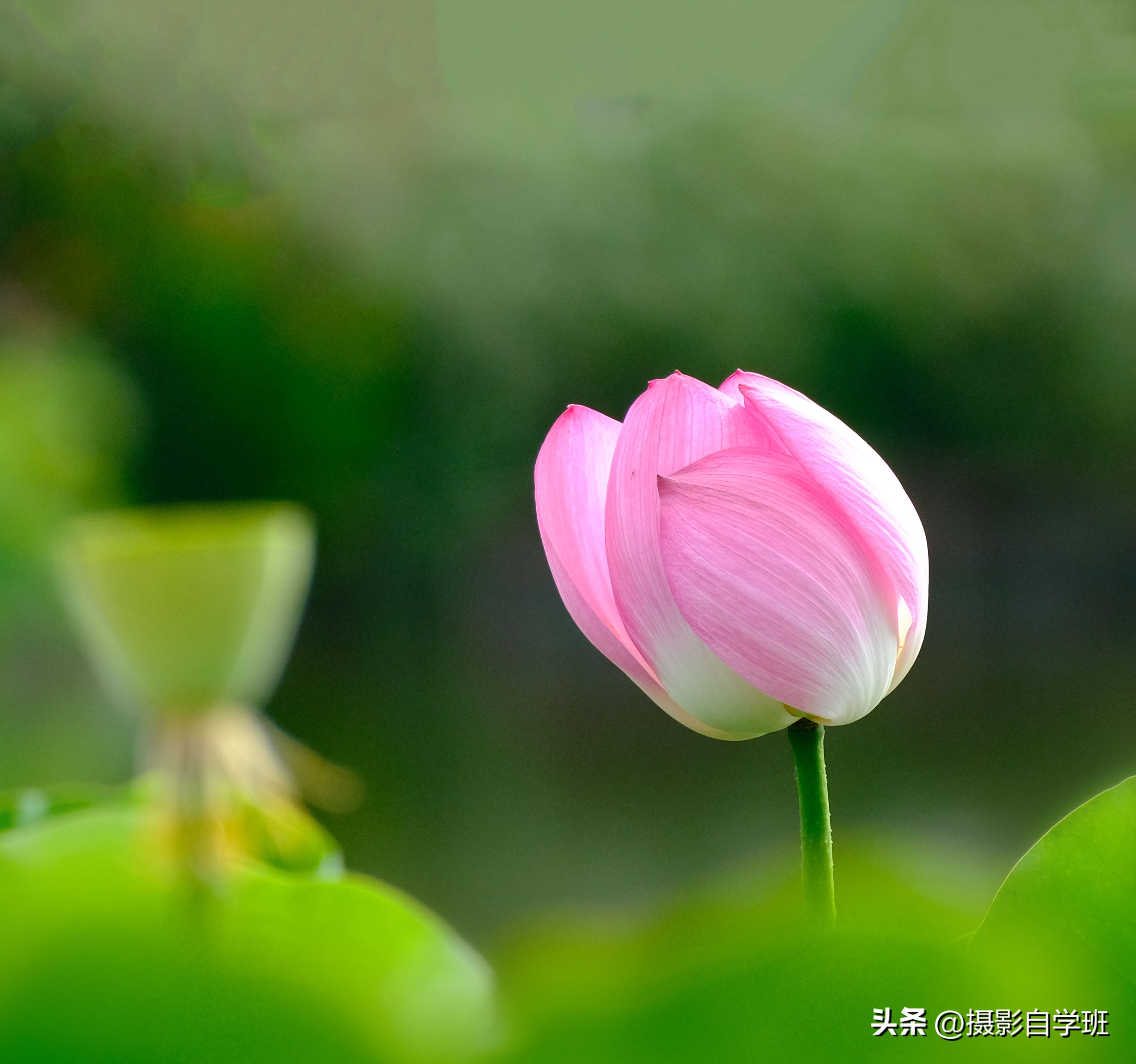 摄友投稿图片,摄友投稿旅行记录图