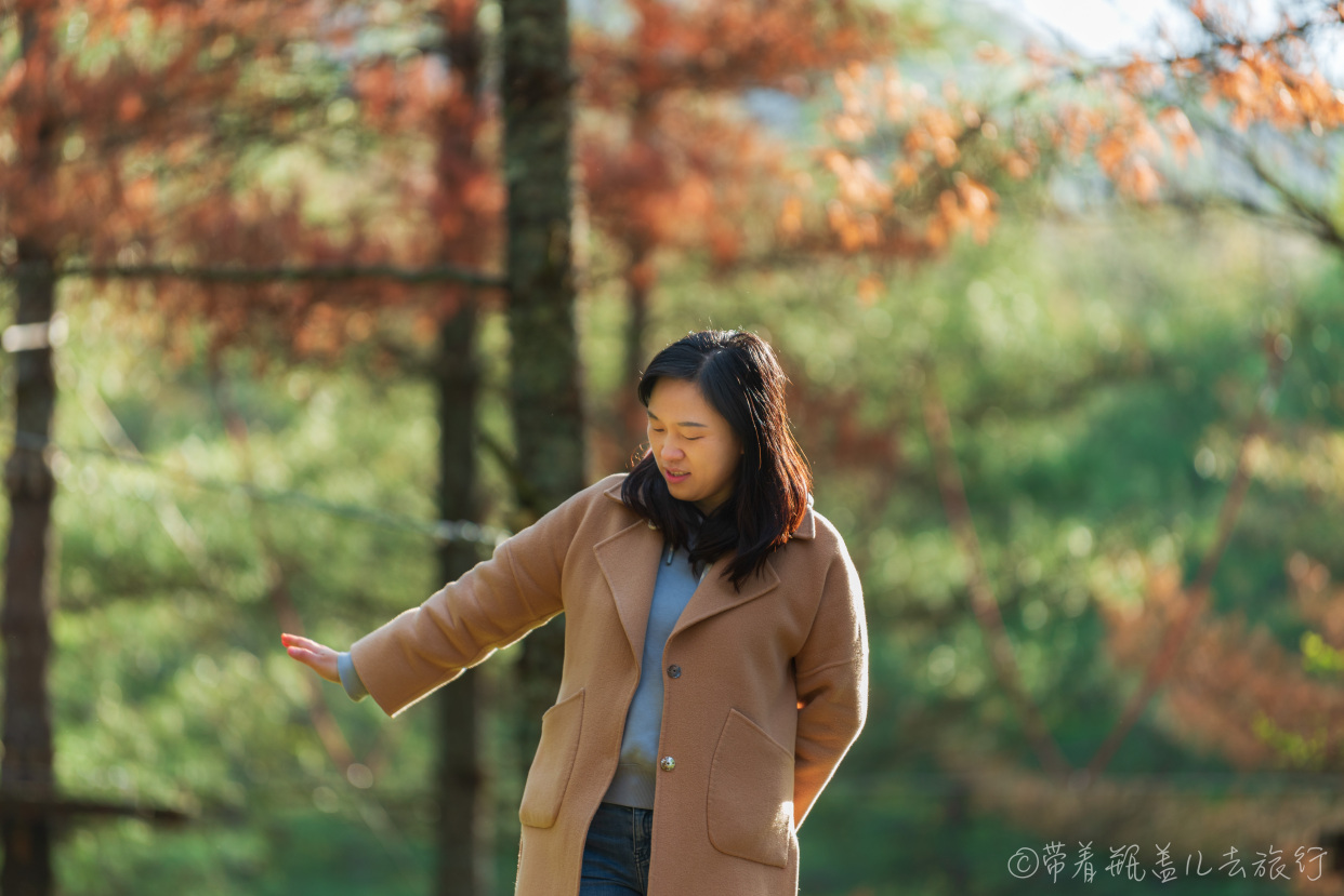 巫溪红叶自驾游,巫溪红池坝云中花海景点讲解