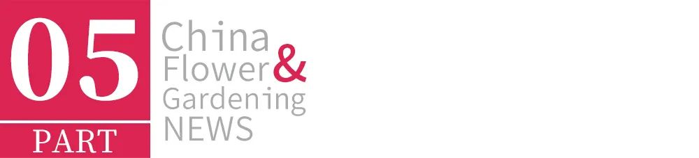 鄢陵模式,2023年鄢陵的发展