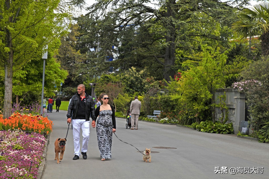 船员体验生活视频,船员体验一下船上生活