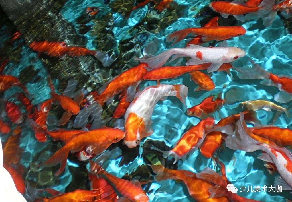 深海鱼群创意美术粘贴画,深海里的鱼群美术教案