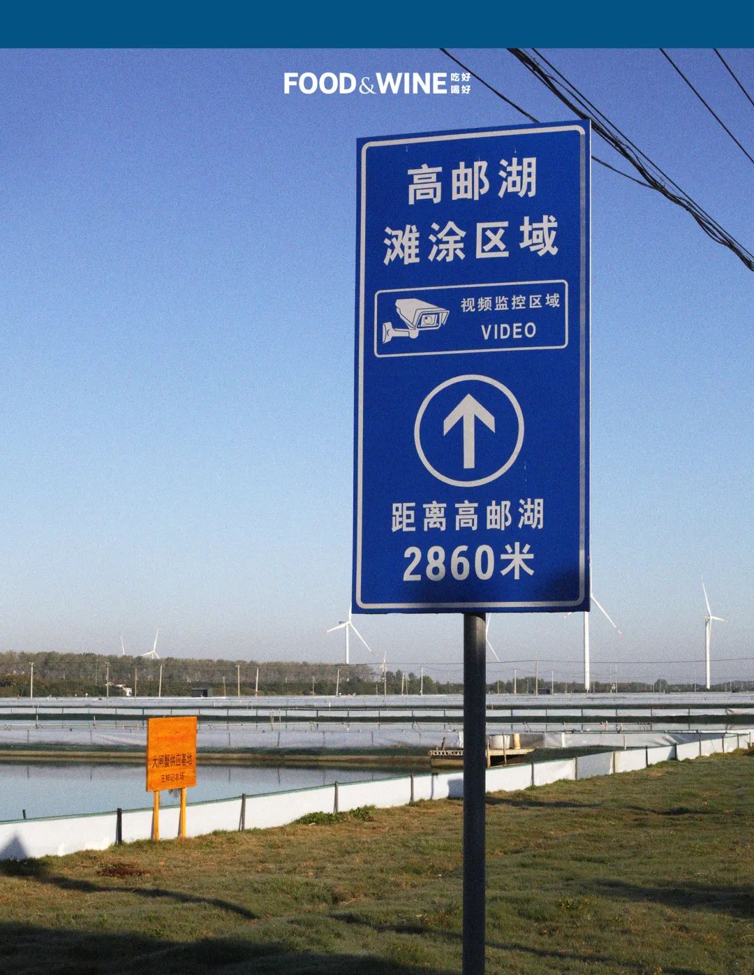 高邮湖的螃蟹怎么样,高邮湖螃蟹多少钱一斤