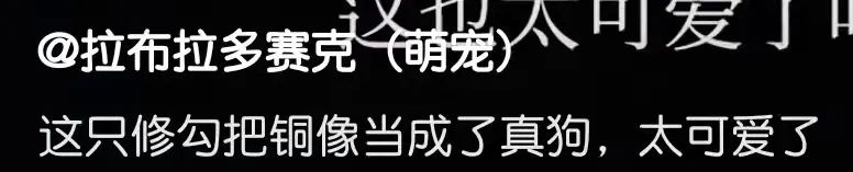 送男朋友巴黎世家哪款鞋子,巴黎世家哪款鞋送男友