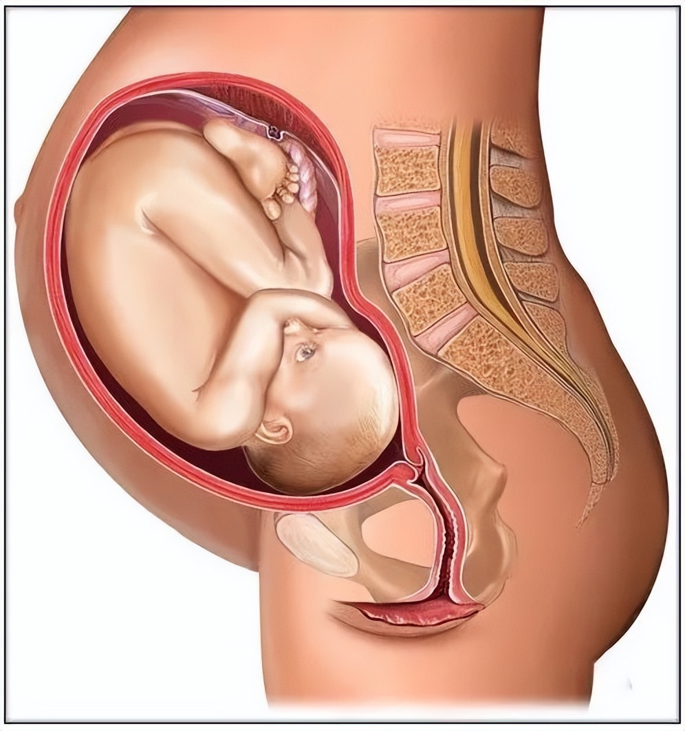 孕妈妈不同的阶段应该注意什么,孕妈妈的症状