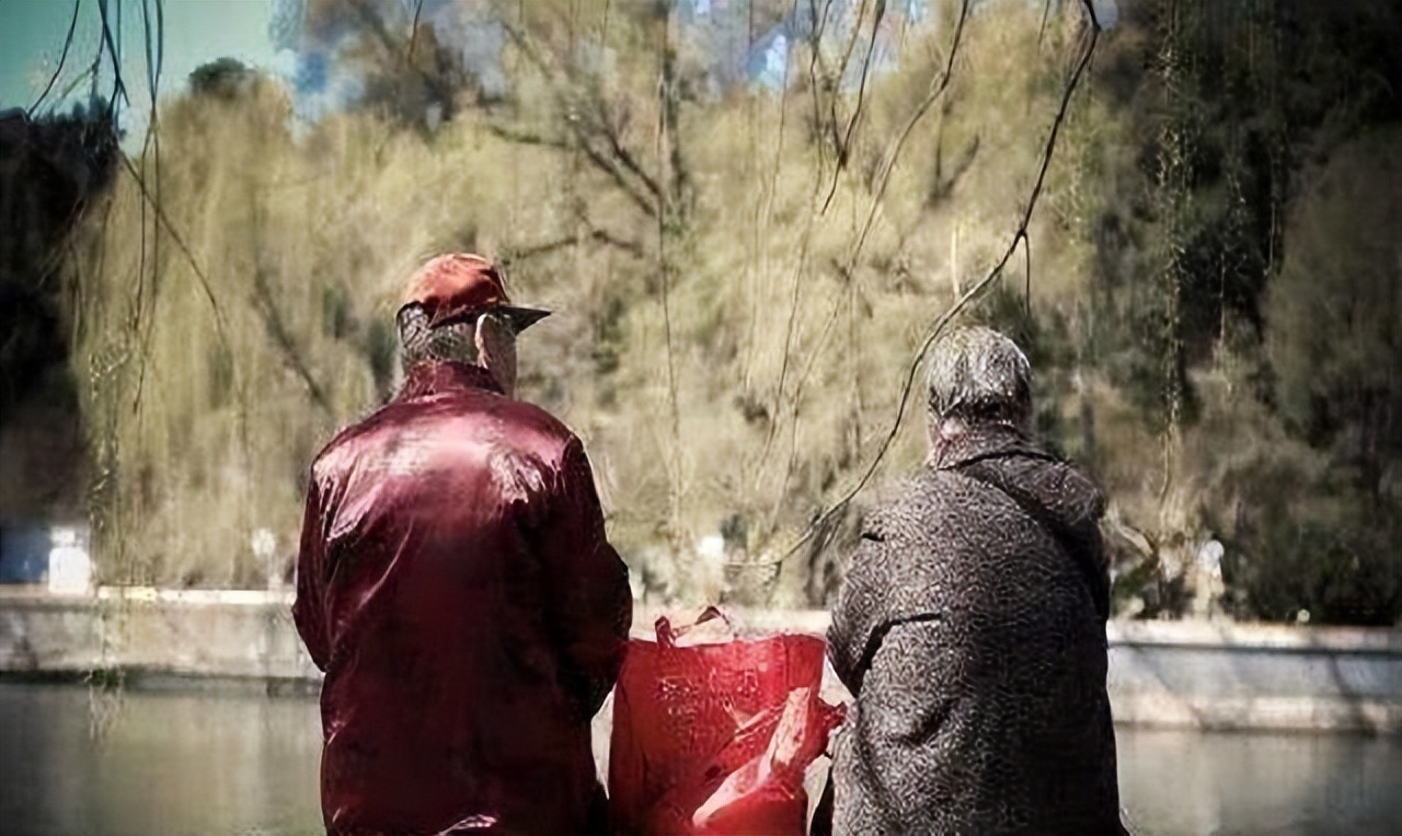 首批丁克已退休他们的现状如何,中国首批丁克夫妇已步入晚年