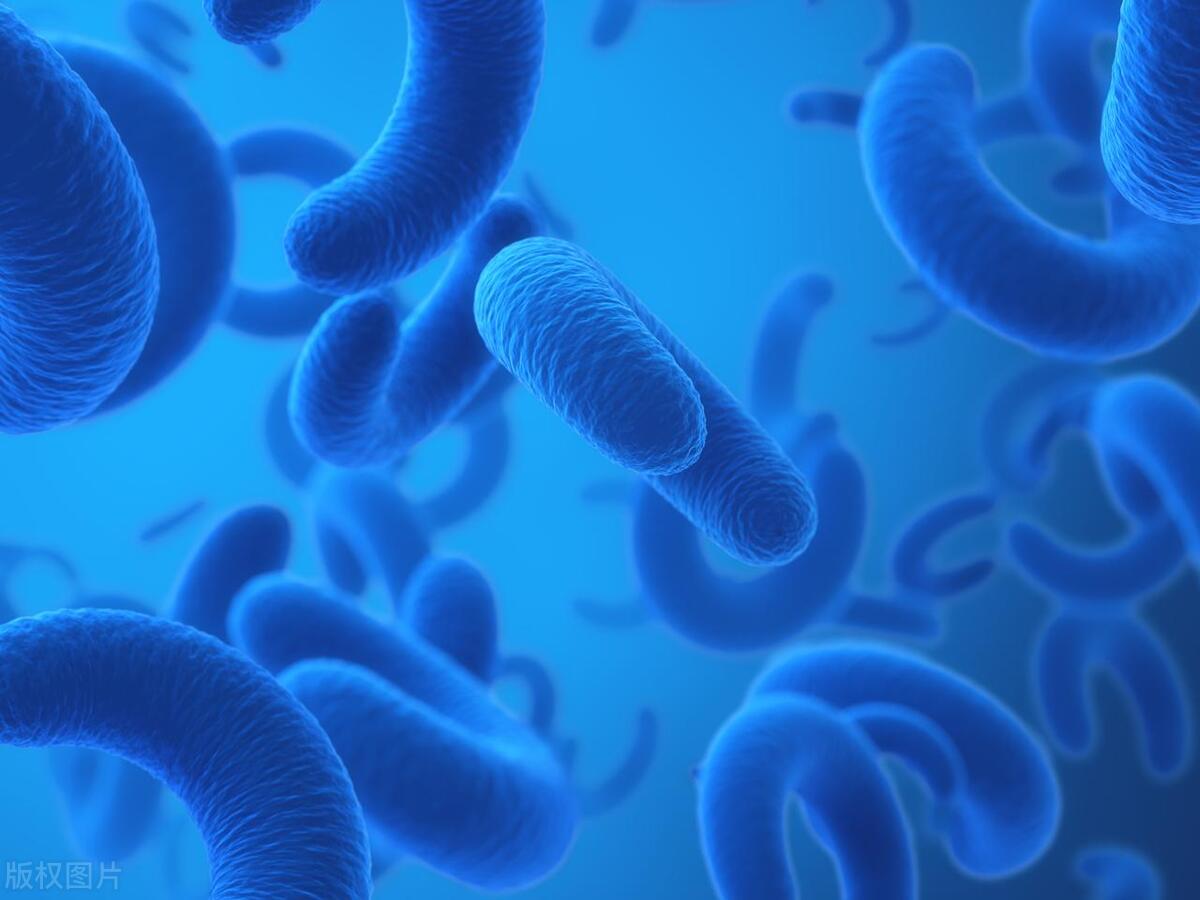 流产后有异味买什么药,流产一个月有腥臭味