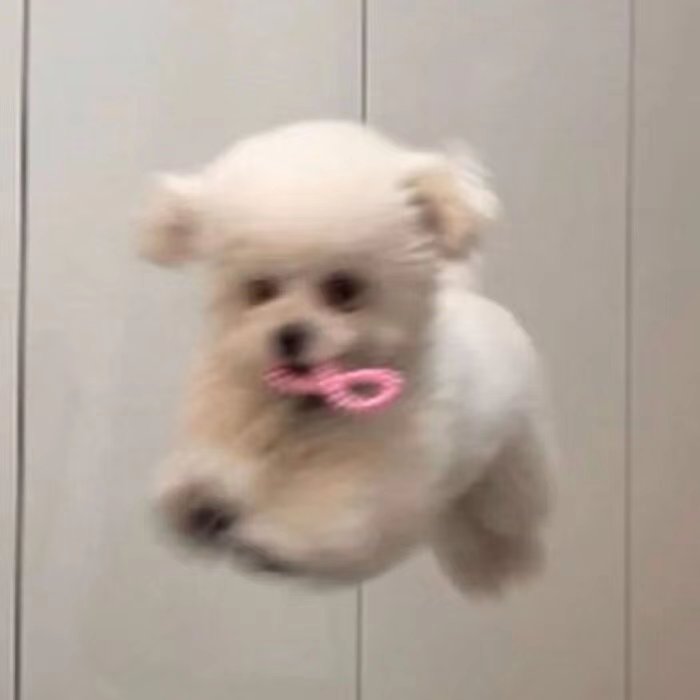 好听的网名温柔可爱,好听男生网名温柔简短