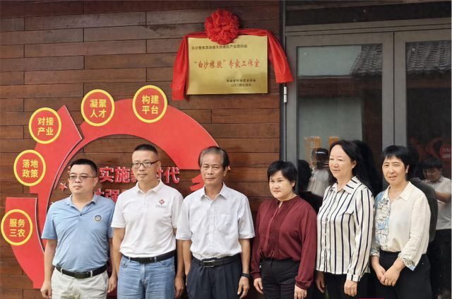 白沙县橡胶业蓬勃发展，专家揭秘行业疑云