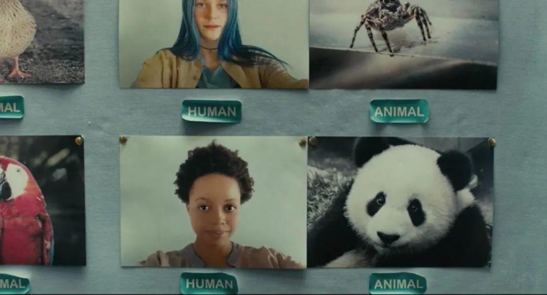 2022当红小鲜肉排行,当红小鲜肉电视剧