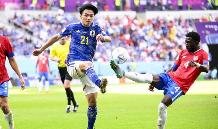 世界杯日本太太团,世界杯日本男足太太团大赏