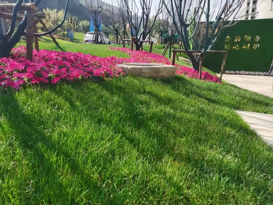 兰州新区恒大未来城楼盘详情,兰州恒大未来城