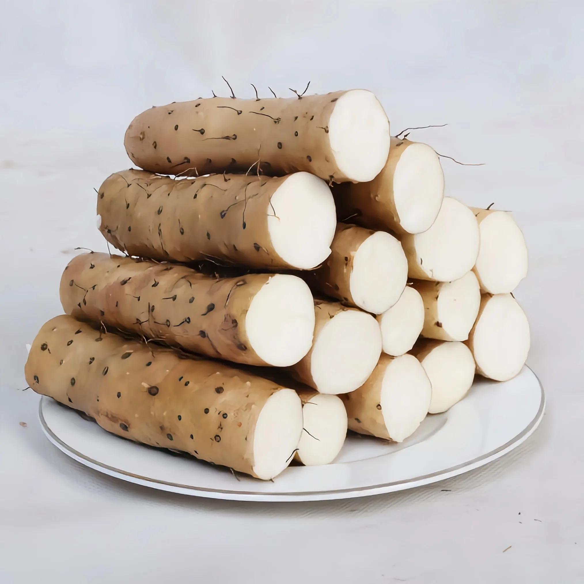 手碰到山药为什么会很痒