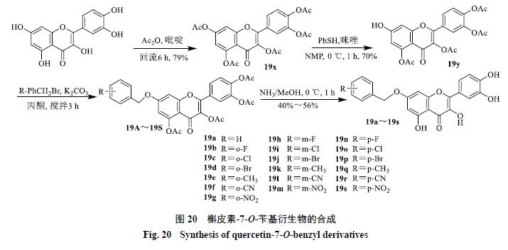 槲皮素的氧化机理,槲皮素的有关药物活性成分