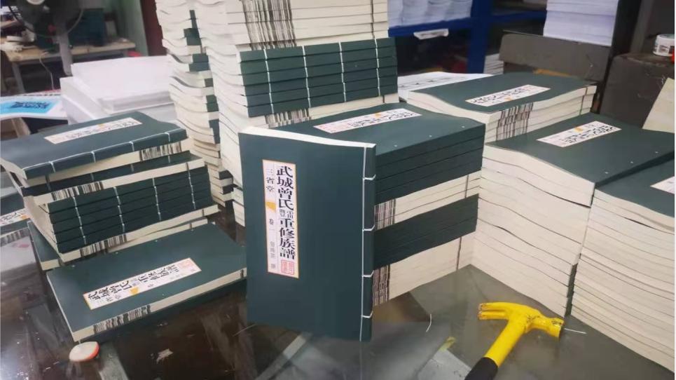 专家告诉你如何编写家谱世系图,家谱世系图编写方法