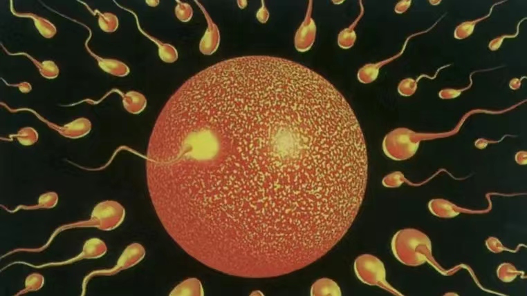 女性接触异性多会出现哪些症状,为什么有的女人一碰就会倒霉