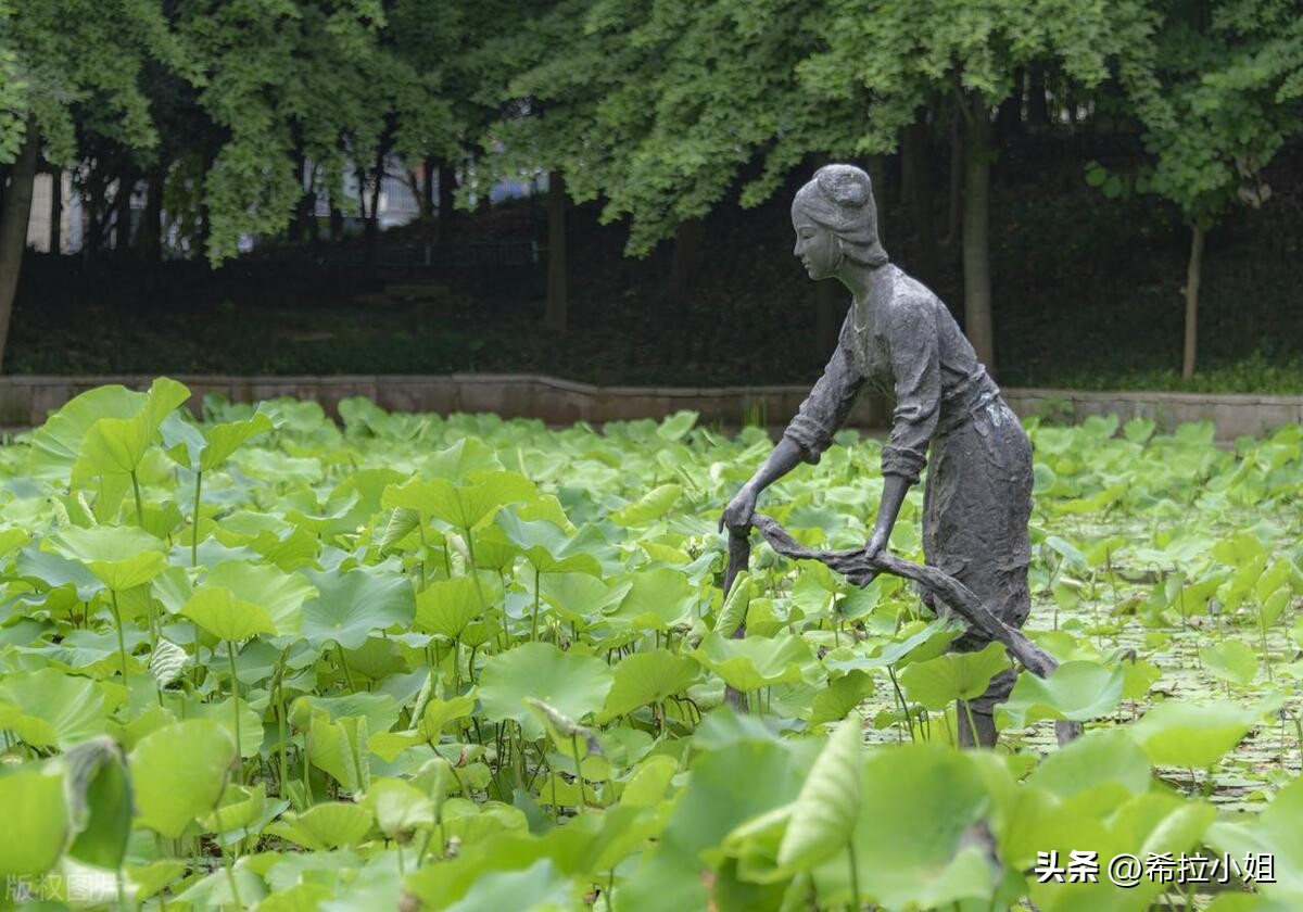 绍兴周边游玩,绍兴周边必去的十大景点免费