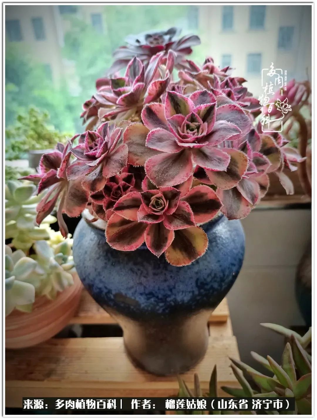 繁花似锦觅安宁淡如流水度一生,繁花似锦觅安宁淡云流水度人生