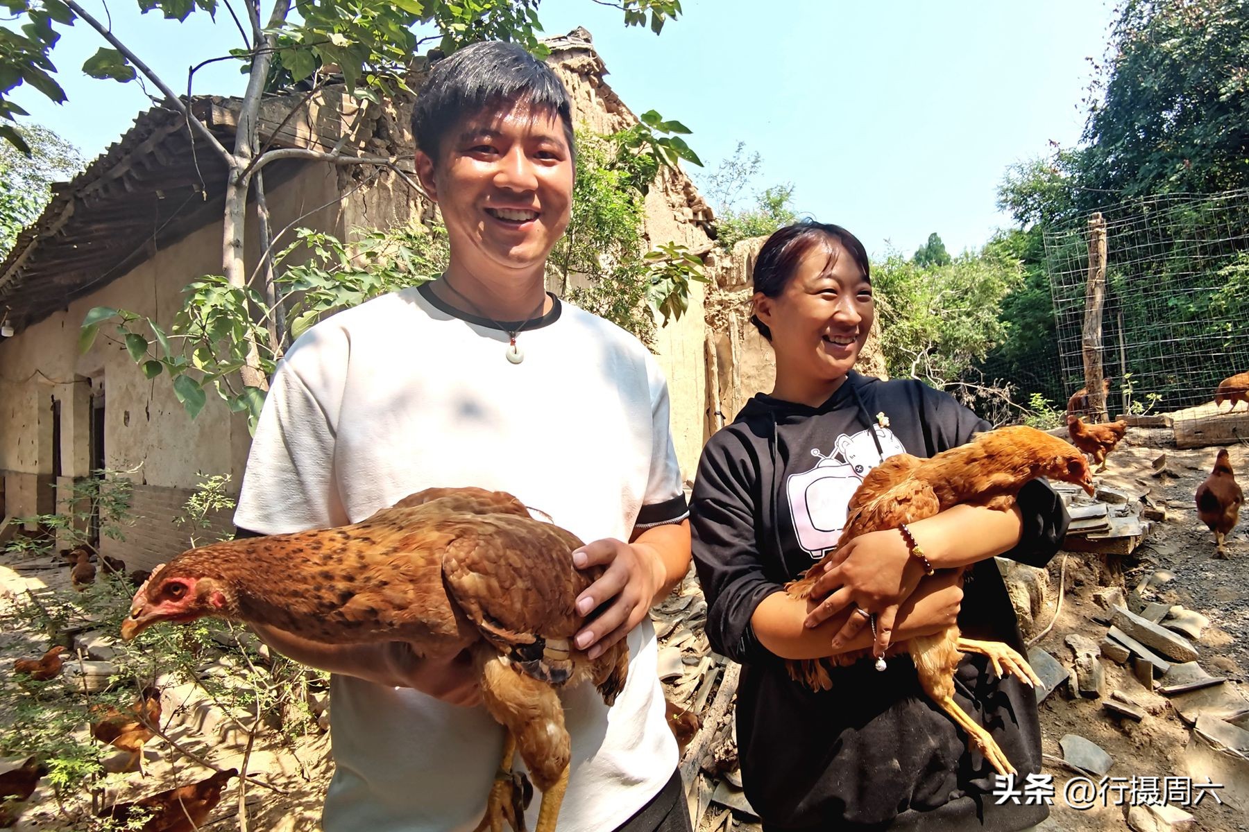 养鸡小两口,养1000只跑山鸡一年赚多少