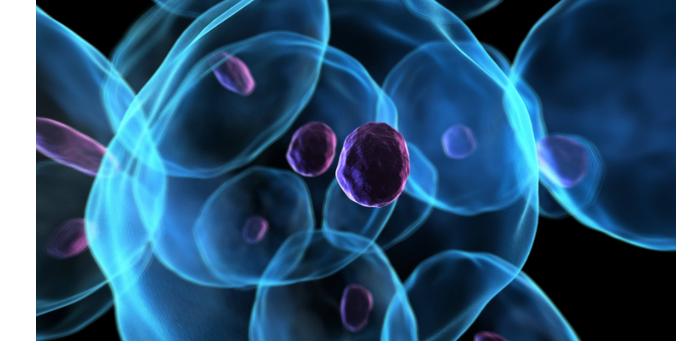 胆固醇升高身体要遭殃？教你4招，击退高血脂，平稳胆固醇