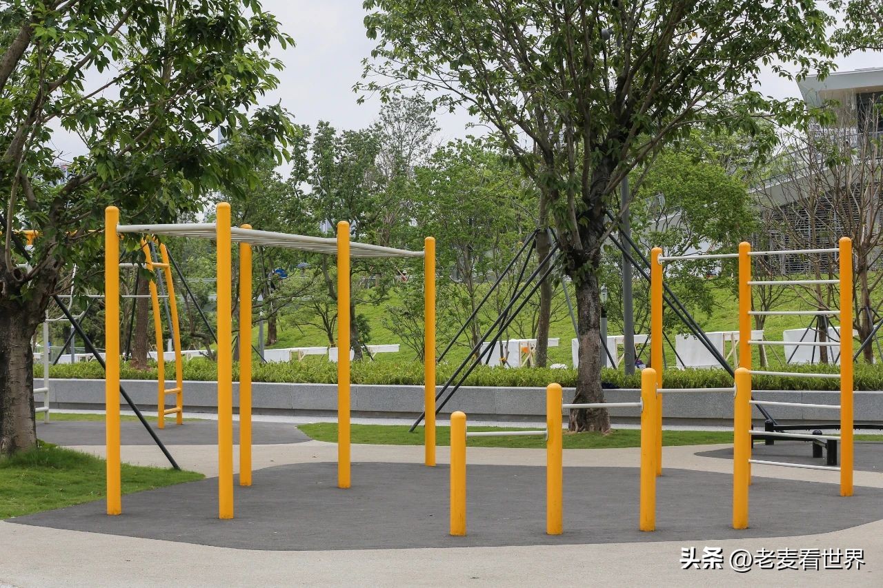 打卡公园东莞游玩攻略,东莞森林公园攻略