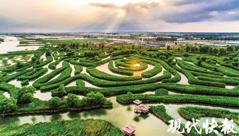 观察丨站上江苏第一等次，“大块头”盐城何以成为“优等生”