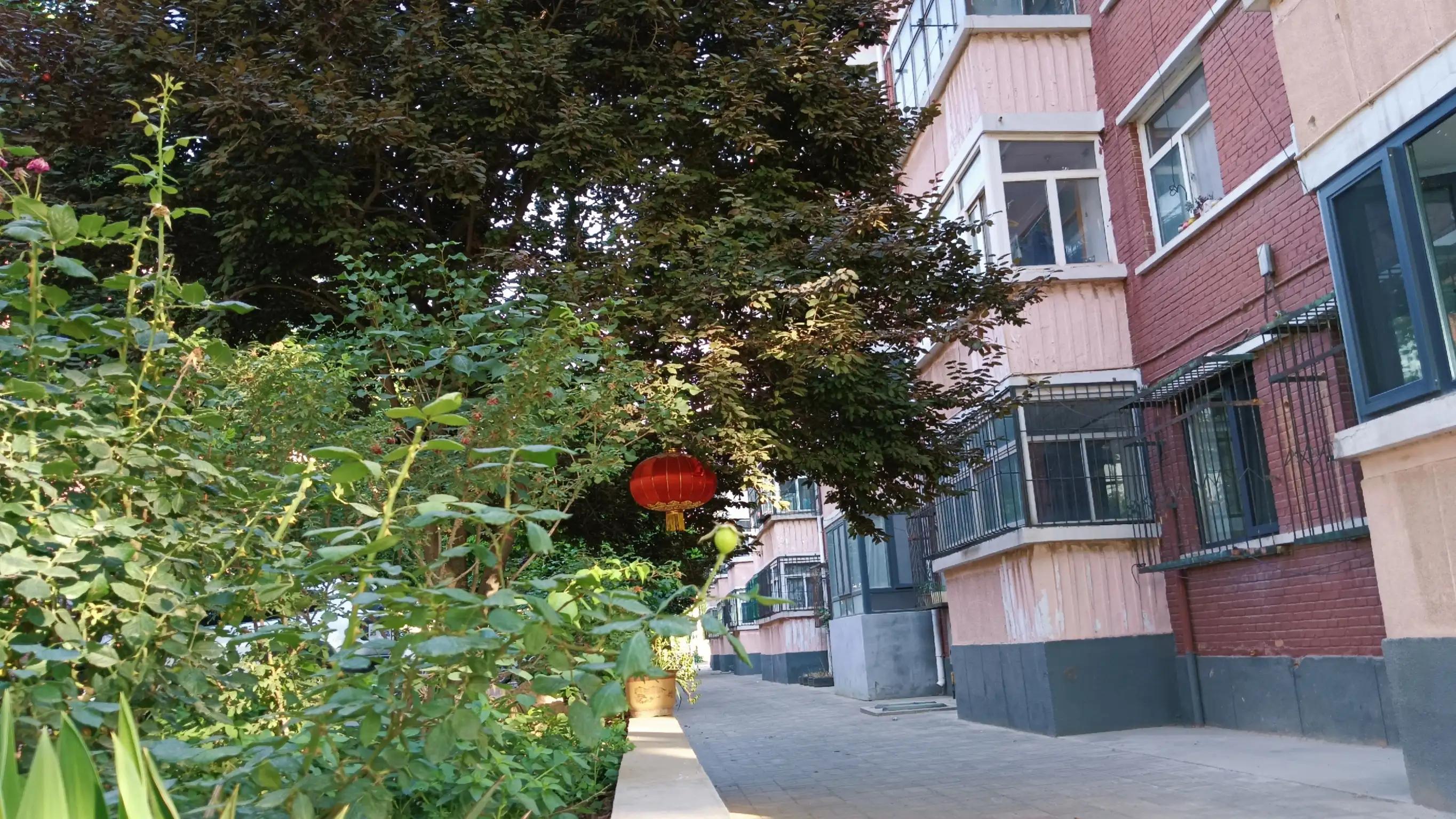 我56岁，退休后为爱离婚，每月2千工资，没钱没房，不知该如何过