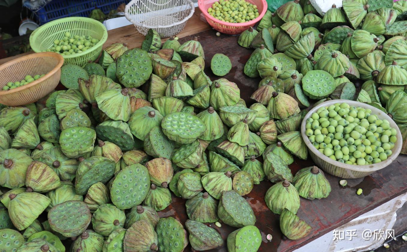 湖北十堰旅游攻略三日游,湖北到贵州三日游景点攻略图