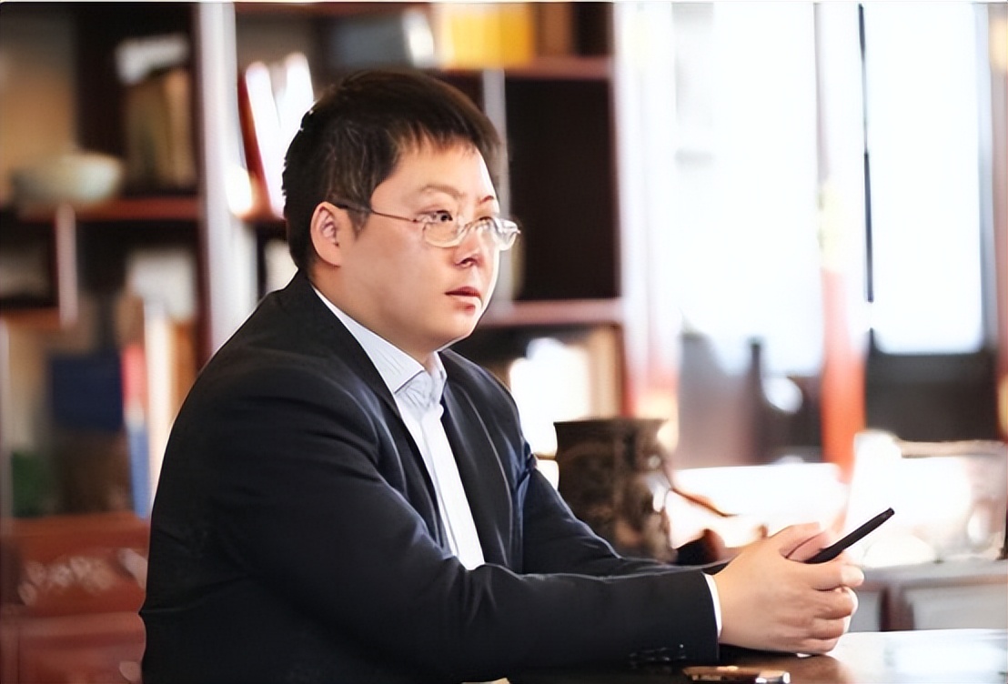 把公司当后宫，敛财700亿缅北有私人*队军**，e租宝丁宁为何这么狂？