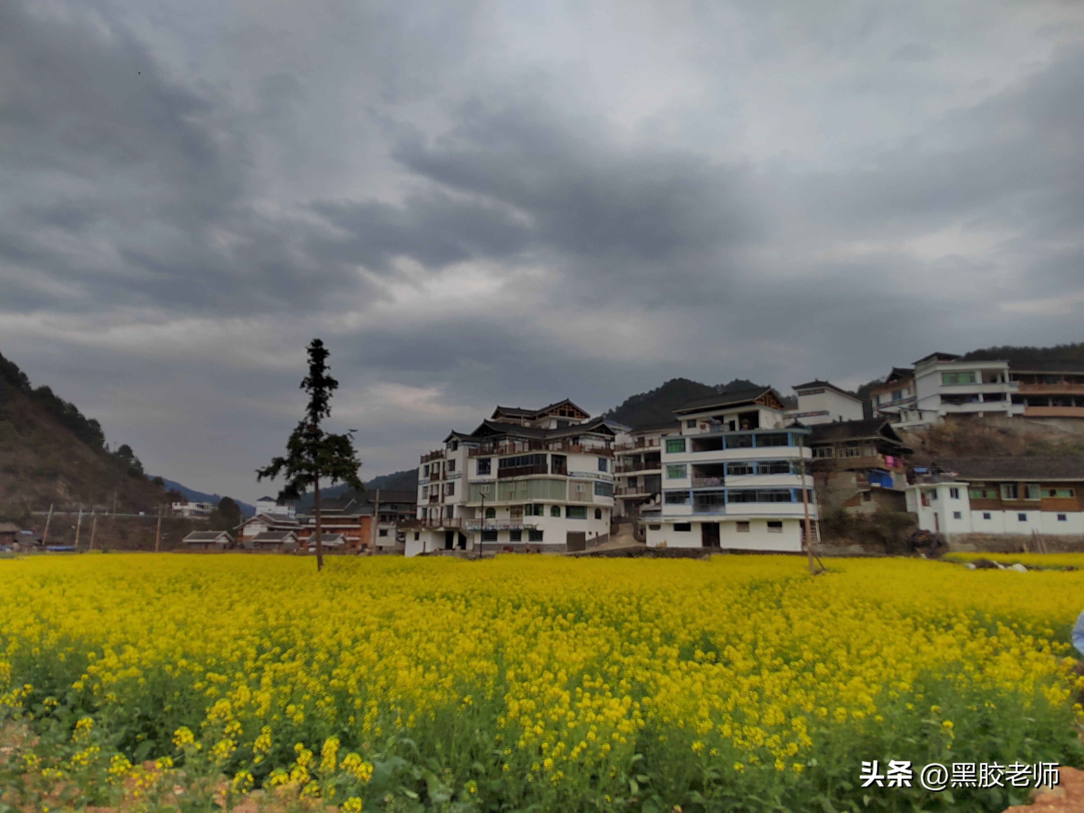 三月的花海景色,3月份哪里有花海