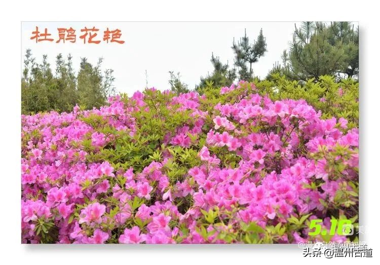 告别春天迎接夏天的诗,告别春天迎接夏天到来