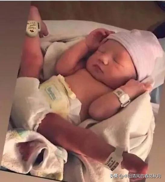 香港张柏芝在大陆生活,上海张柏芝的视频