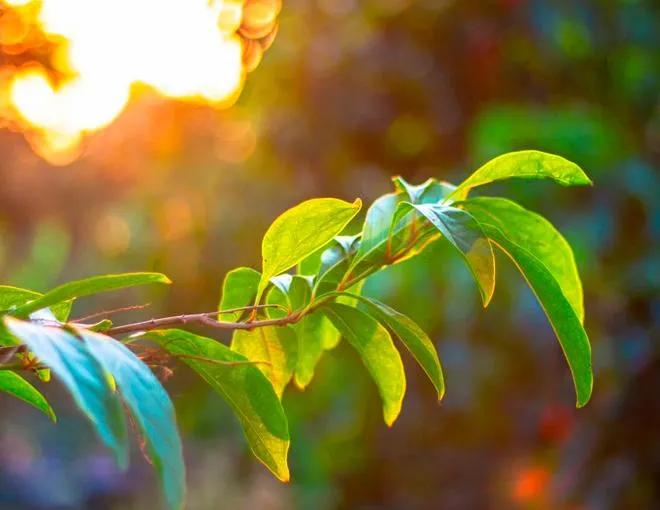 人生当中遇到最无奈的父母,当父母混得不好就不要听父母的话