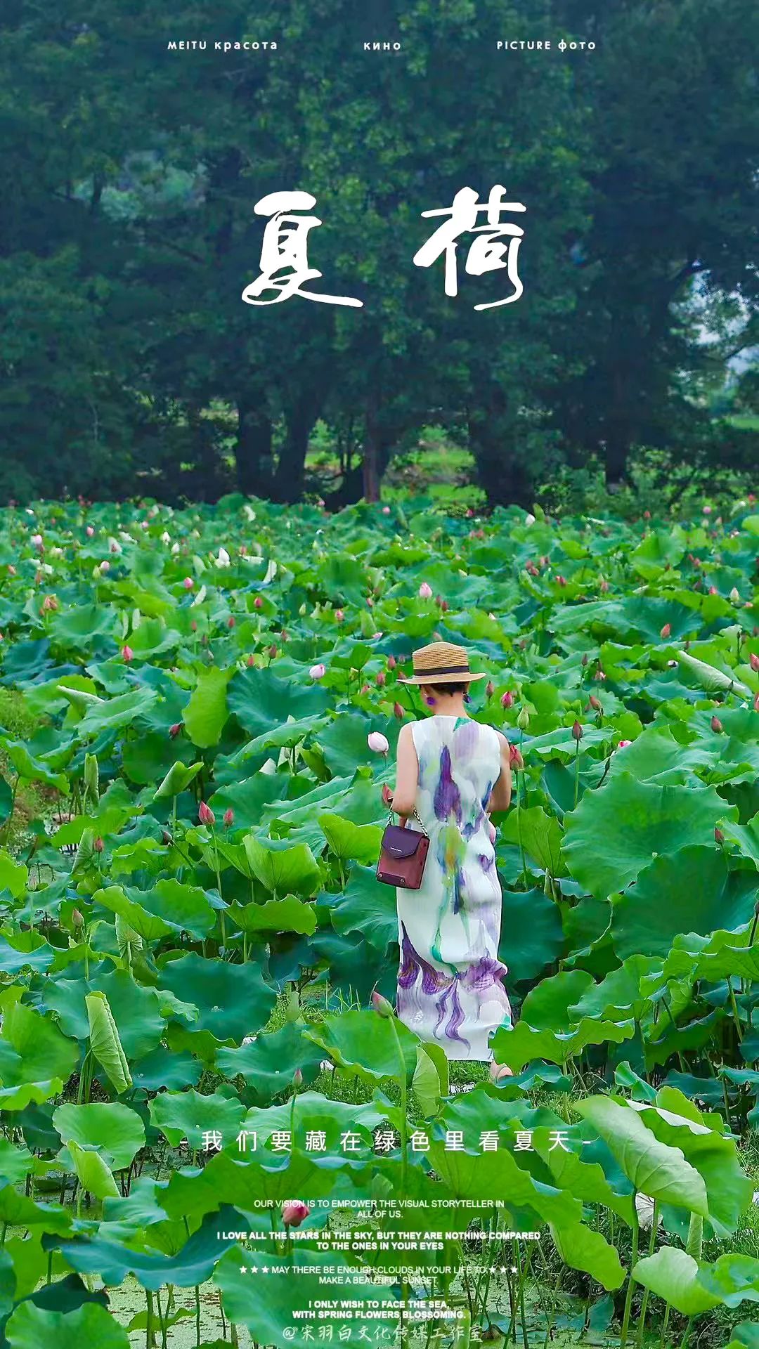 全球学子嘉游赣|上饶的第一波荷花开了，让我们一起步入飘满荷香的夏天！