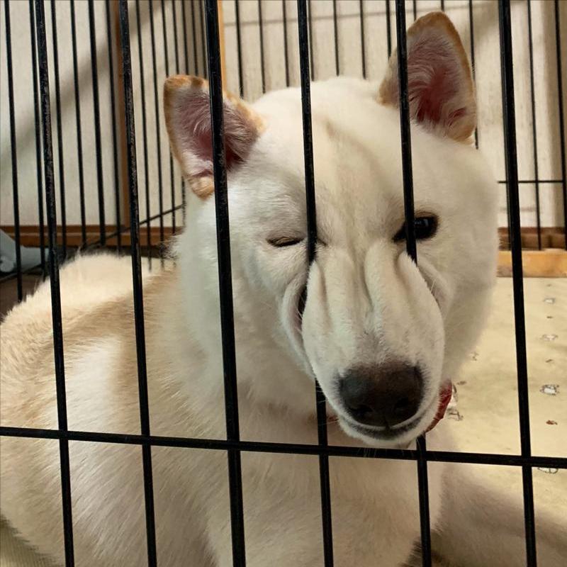 那些不经意的违法行为,那些不经意的举动