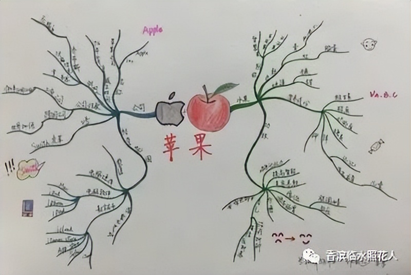 「我是小作家—作文」二年级看图作文——赵茗睿《送苹果》（5）