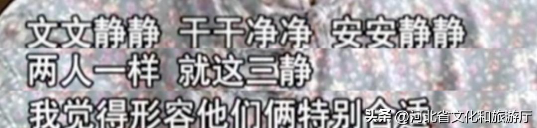 社恐、内向、普通话不标准却成为“央视一哥”,高考差点被人“顶替”,22分钟口播一战封神,他到底有多牛?